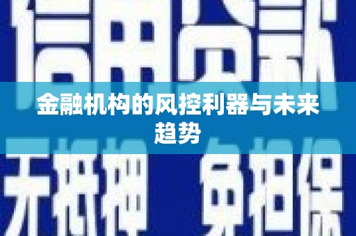 额敏金融机构的风控利器与未来趋势
