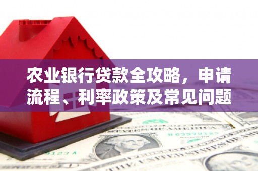 额敏农业银行贷款全攻略，申请流程、利率政策及常见问题解析