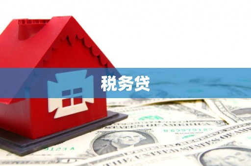 额敏税务贷