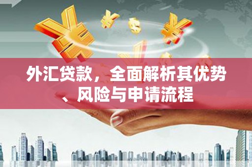 额敏外汇贷款，全面解析其优势、风险与申请流程