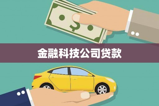 额敏金融科技公司贷款