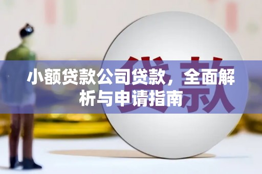 额敏小额贷款公司贷款，全面解析与申请指南