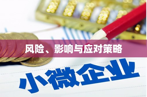 额敏风险、影响与应对策略