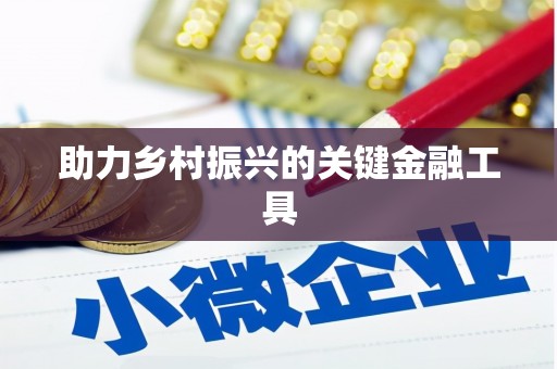 额敏助力乡村振兴的关键金融工具