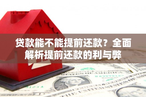额敏贷款能不能提前还款？全面解析提前还款的利与弊
