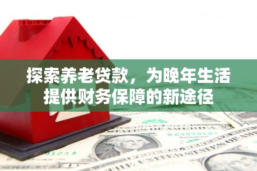 额敏探索养老贷款，为晚年生活提供财务保障的新途径