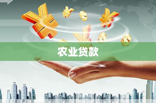 额敏农业贷款