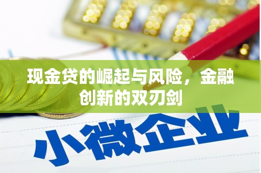额敏现金贷的崛起与风险，金融创新的双刃剑