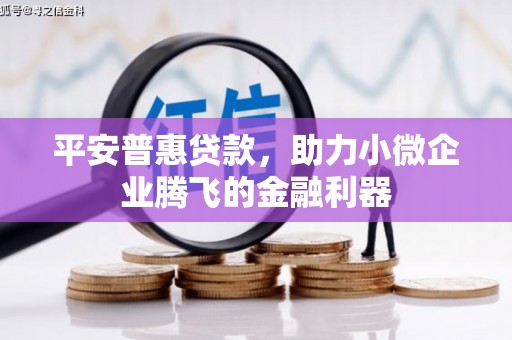 额敏平安普惠贷款，助力小微企业腾飞的金融利器