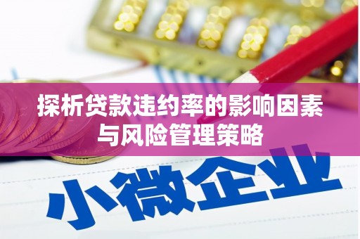 额敏探析贷款违约率的影响因素与风险管理策略