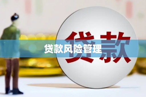 额敏贷款风险管理