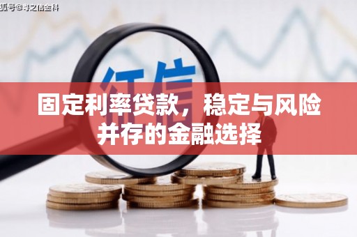 额敏固定利率贷款，稳定与风险并存的金融选择