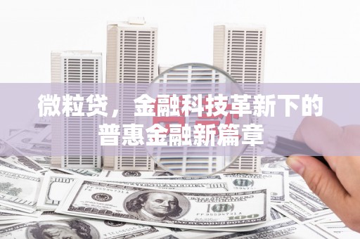 额敏微粒贷，金融科技革新下的普惠金融新篇章