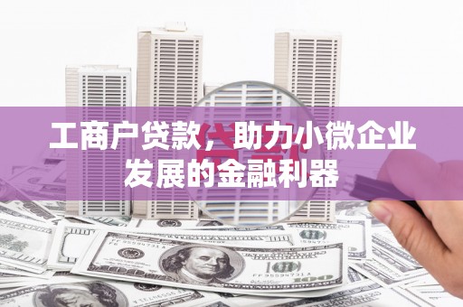 额敏工商户贷款，助力小微企业发展的金融利器