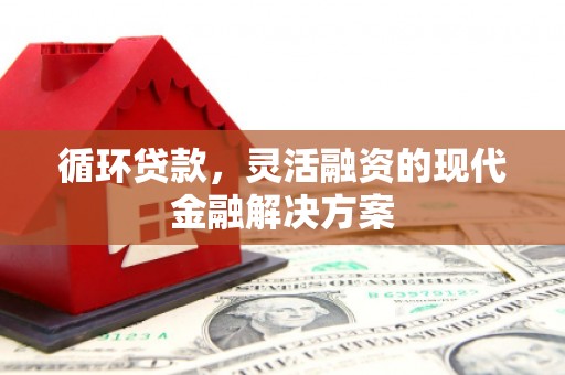 额敏循环贷款，灵活融资的现代金融解决方案
