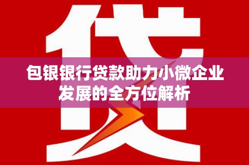 额敏包银银行贷款助力小微企业发展的全方位解析