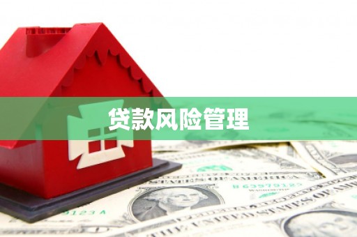 额敏贷款风险管理