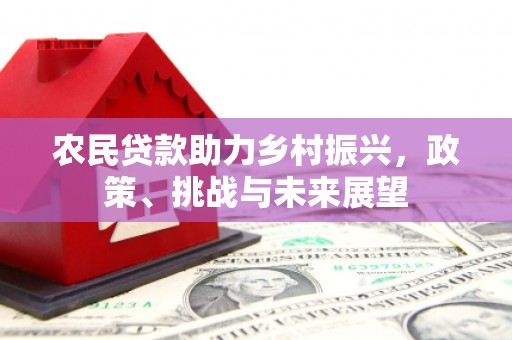 额敏农民贷款助力乡村振兴，政策、挑战与未来展望