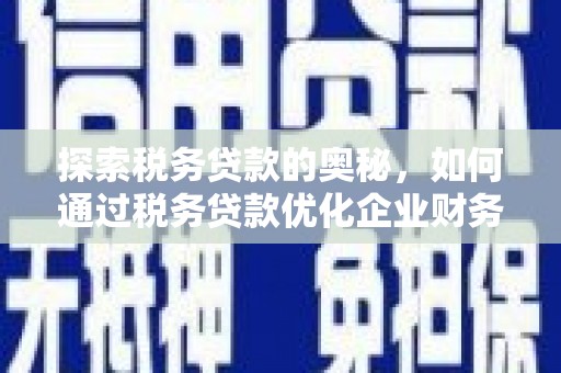 额敏探索税务贷款的奥秘，如何通过税务贷款优化企业财务
