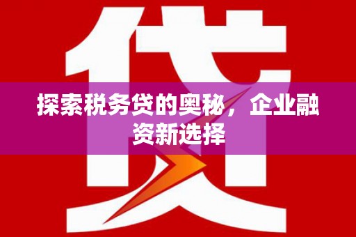 额敏探索税务贷的奥秘，企业融资新选择