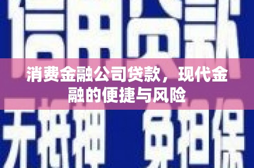 额敏消费金融公司贷款，现代金融的便捷与风险