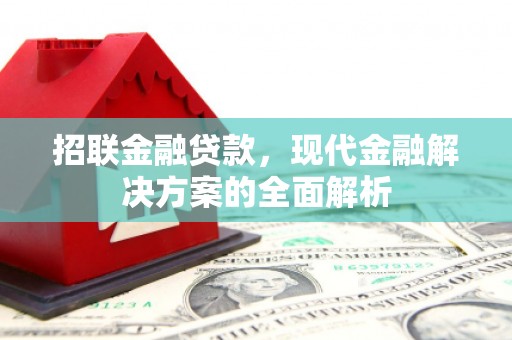 额敏招联金融贷款，现代金融解决方案的全面解析