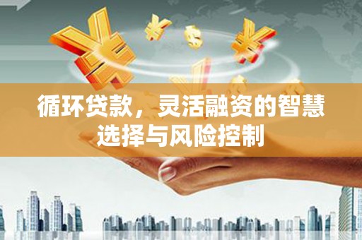 额敏循环贷款，灵活融资的智慧选择与风险控制