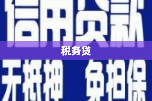额敏税务贷