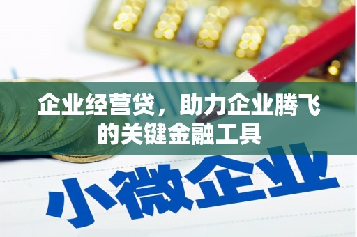 额敏企业经营贷，助力企业腾飞的关键金融工具