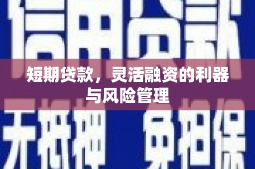 额敏短期贷款，灵活融资的利器与风险管理