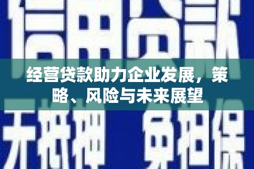 额敏经营贷款助力企业发展，策略、风险与未来展望
