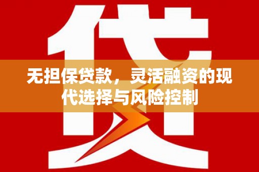 额敏无担保贷款，灵活融资的现代选择与风险控制