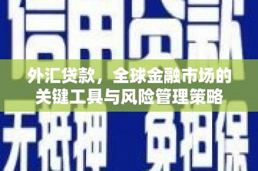 额敏外汇贷款，全球金融市场的关键工具与风险管理策略