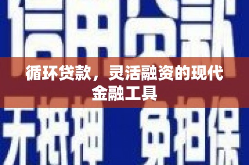 额敏循环贷款，灵活融资的现代金融工具