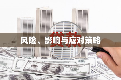 额敏风险、影响与应对策略