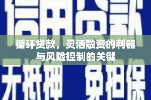 额敏循环贷款，灵活融资的利器与风险控制的关键