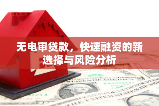 额敏无电审贷款，快速融资的新选择与风险分析