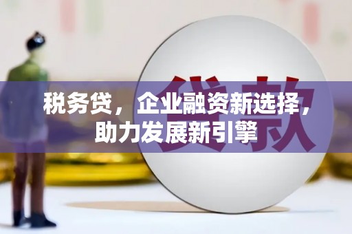 额敏税务贷，企业融资新选择，助力发展新引擎