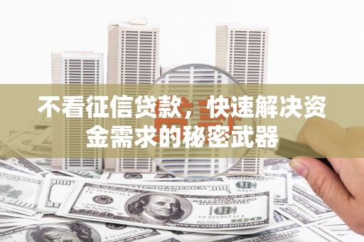 额敏不看征信贷款，快速解决资金需求的秘密武器
