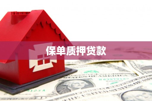 额敏保单质押贷款