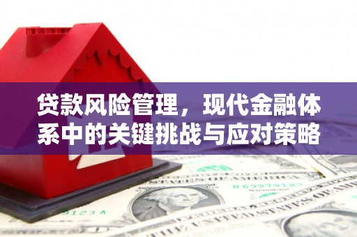 额敏贷款风险管理，现代金融体系中的关键挑战与应对策略