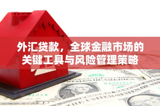 额敏外汇贷款，全球金融市场的关键工具与风险管理策略