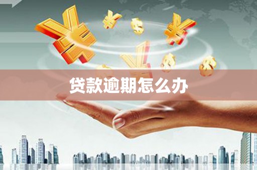 额敏贷款逾期怎么办