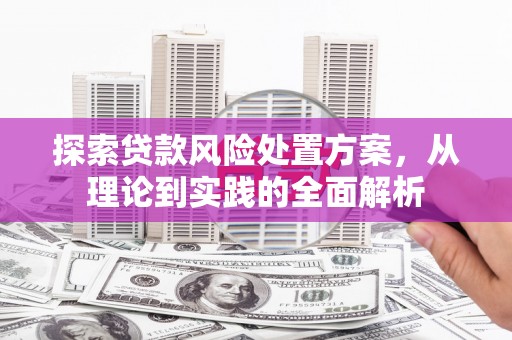 额敏探索贷款风险处置方案，从理论到实践的全面解析