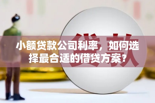 额敏小额贷款公司利率，如何选择最合适的借贷方案？