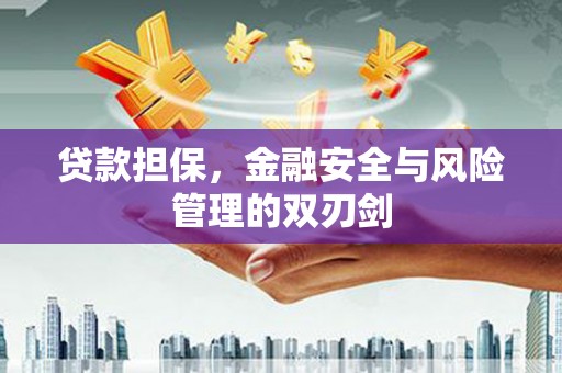 额敏贷款担保，金融安全与风险管理的双刃剑