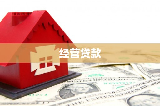 额敏经营贷款