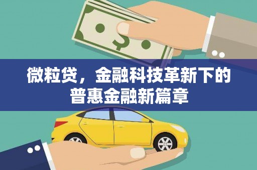 额敏微粒贷，金融科技革新下的普惠金融新篇章