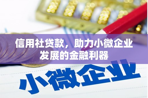 额敏信用社贷款，助力小微企业发展的金融利器