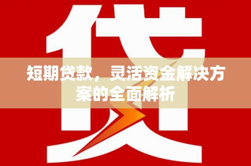 额敏短期贷款，灵活资金解决方案的全面解析